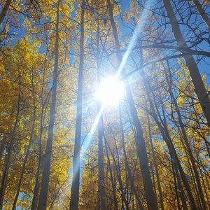 Meet your Posher, Bobbie